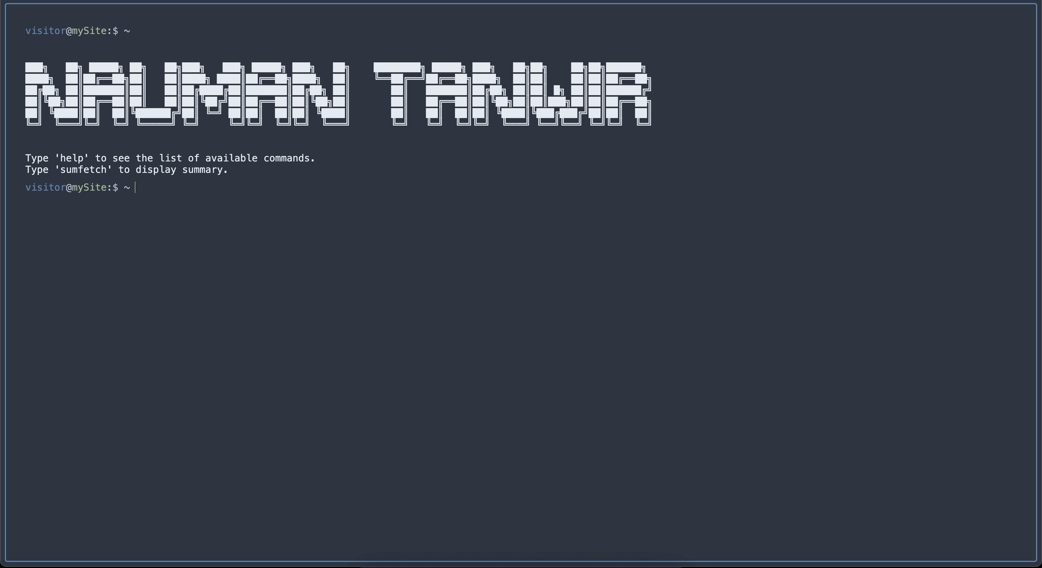 My Terminal Website